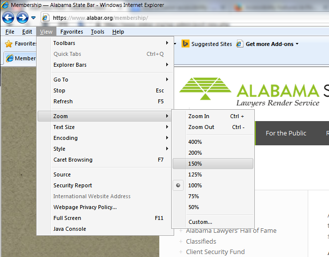 Internet Explorer View menu